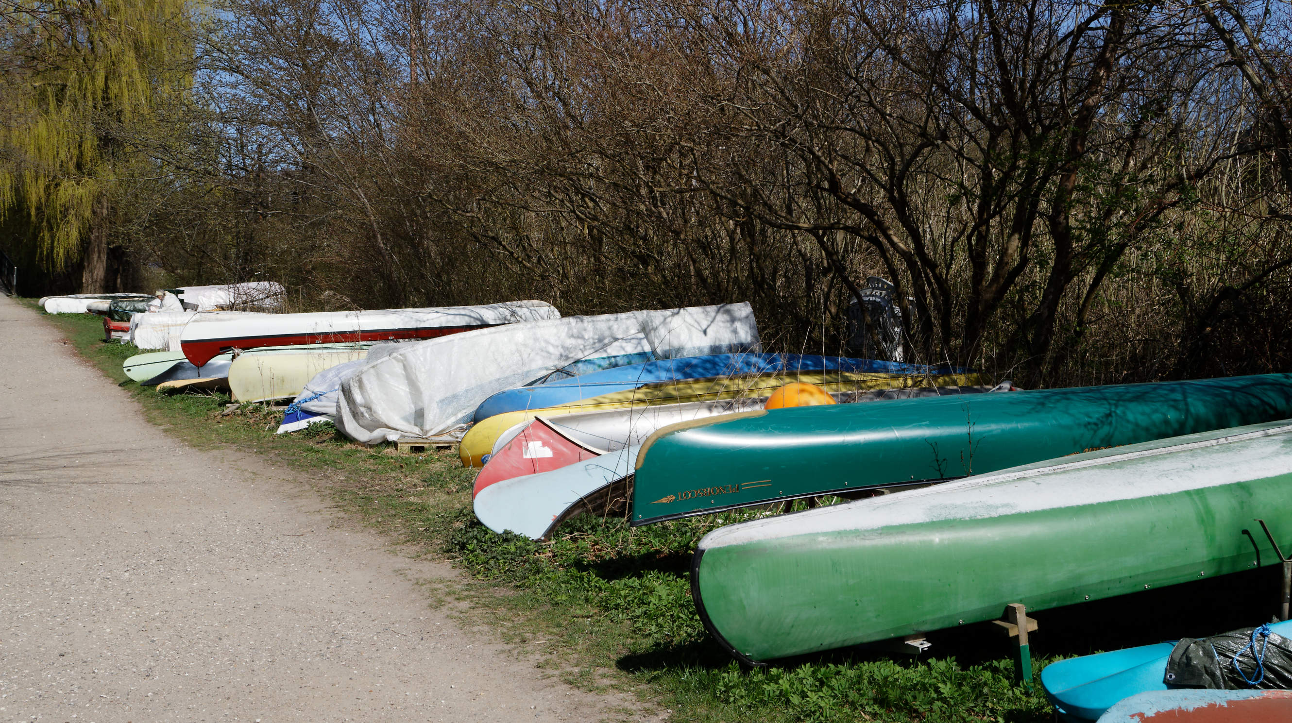 20210420 Lyngby Sø 11